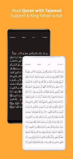 Құранды жаттау